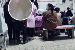 補(bǔ)骨脂的作用和功效圖片